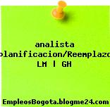 analista planificacion/Reemplazo LM | GH