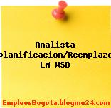 Analista planificacion/Reemplazo LM WSD