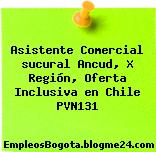 Asistente Comercial sucural Ancud, X Región, Oferta Inclusiva en Chile PVN131
