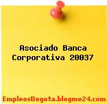 Asociado Banca Corporativa 20037