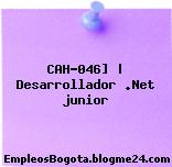 CAH-046] | Desarrollador .Net junior