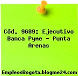 Cód. 9689: Ejecutivo Banca Pyme – Punta Arenas