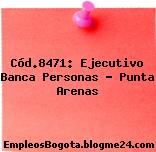 Cód.8471: Ejecutivo Banca Personas – Punta Arenas