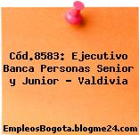 Cód.8583: Ejecutivo Banca Personas Senior y Junior – Valdivia