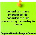 Consultor para proyectos de consultoria de procesos y tecnologia banca