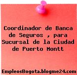 Coordinador de Banca de Seguros , para Sucursal de la Ciudad de Puerto Montt