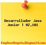Desarrollador Java Junior | HZ.101