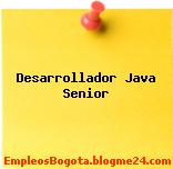 Desarrollador Java Senior