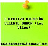 EJECUTIVO ATENCIÓN CLIENTE BANCA (Los Vilos)