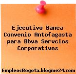 Ejecutivo Banca Convenio Antofagasta para Bbva Servcios Corporativos