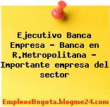 Ejecutivo Banca Empresa – Banca en R.Metropolitana – Importante empresa del sector