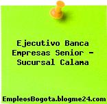 Ejecutivo Banca Empresas Senior – Sucursal Calama