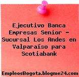 Ejecutivo Banca Empresas Senior – Sucursal Los Andes en Valparaíso para Scotiabank