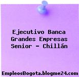 Ejecutivo Banca Grandes Empresas Senior – Chillán