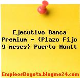 Ejecutivo Banca Premium – (Plazo Fijo 9 meses) Puerto Montt