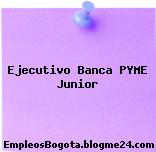 Ejecutivo Banca PYME Junior