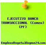 EJECUTIVO BANCA TRANSACCIONAL (Comex) (PF)