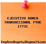 EJECUTIVO BANCA TRANSACCIONAL PYME 17731