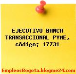 EJECUTIVO BANCA TRANSACCIONAL PYME, código: 17731