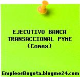 EJECUTIVO BANCA TRANSACCIONAL PYME (Comex)