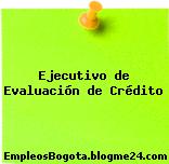 Ejecutivo de Evaluación de Crédito