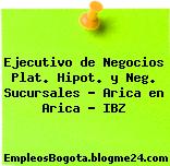 Ejecutivo de Negocios Plat. Hipot. y Neg. Sucursales – Arica en Arica – IBZ