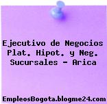 Ejecutivo de Negocios Plat. Hipot. y Neg. Sucursales Arica