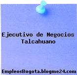 Ejecutivo de Negocios Talcahuano
