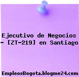 Ejecutivo de Negocios – [ZT-219] en Santiago