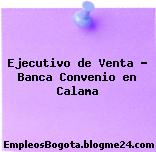 Ejecutivo de Venta – Banca Convenio en Calama