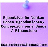Ejecutivo De Ventas Banca Agendamiento, Concepción para Banca / Financiera