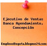 Ejecutivo de Ventas Banca Agendamiento, Concepción