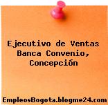 Ejecutivo de Ventas Banca Convenio, Concepción