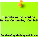 Ejecutivo de Ventas Banca Convenio, Curicó