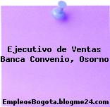 Ejecutivo de Ventas Banca Convenio, Osorno