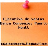 Ejecutivo de ventas Banca Convenio, Puerto Montt