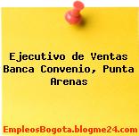 Ejecutivo de Ventas Banca Convenio, Punta Arenas