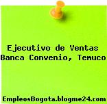 Ejecutivo de Ventas Banca Convenio, Temuco