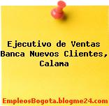 Ejecutivo de Ventas Banca Nuevos Clientes, Calama