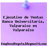 Ejecutivo de Ventas Banca Universitaria, Valparaiso en Valparaíso