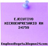 EJECUTIVO MICROEMPRESARIO RM 24759