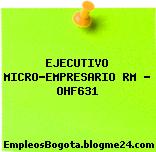 EJECUTIVO MICRO-EMPRESARIO RM – OHF631