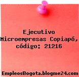 Ejecutivo Microempresas Copiapó, código: 21216