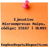 Ejecutivo Microempresas Maipu, código: 23167 | ULM93