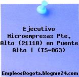 Ejecutivo Microempresas Pte. Alto (21110) en Puente Alto | (IS-063)