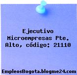 Ejecutivo Microempresas Pte. Alto, código: 21110