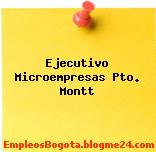 Ejecutivo Microempresas Pto. Montt