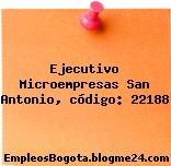 Ejecutivo Microempresas San Antonio, código: 22188