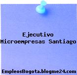 Ejecutivo Microempresas Santiago