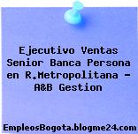Ejecutivo Ventas Senior Banca Persona en R.Metropolitana – A&B Gestion